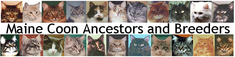 Pictures of Maine Coon Ancestors and Maine Coon Breeders