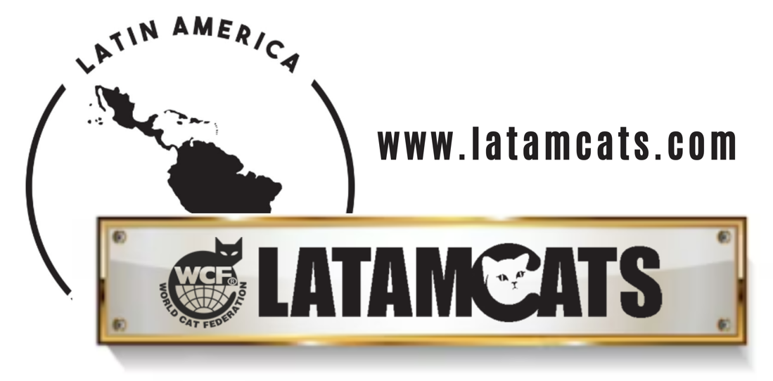 Latamcats