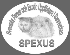 logoSpexus